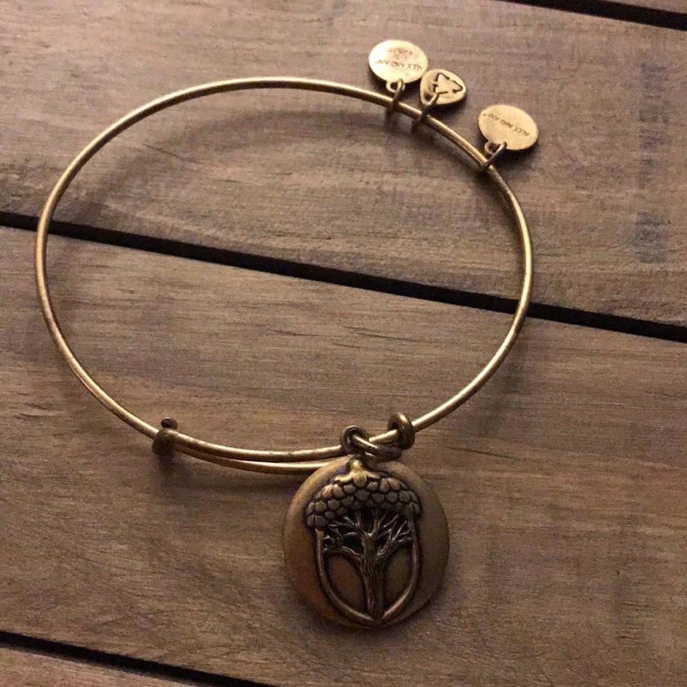 Alex and ani bracelet - Picture 1 of 4